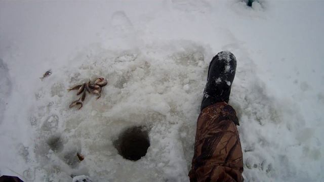 Решение без клёвье в ГЛУХОЗИМИЕ.....Рыбак Профи смотреть онлайн