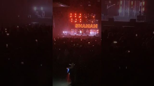 SHAMAN качает мед смотреть онлайн