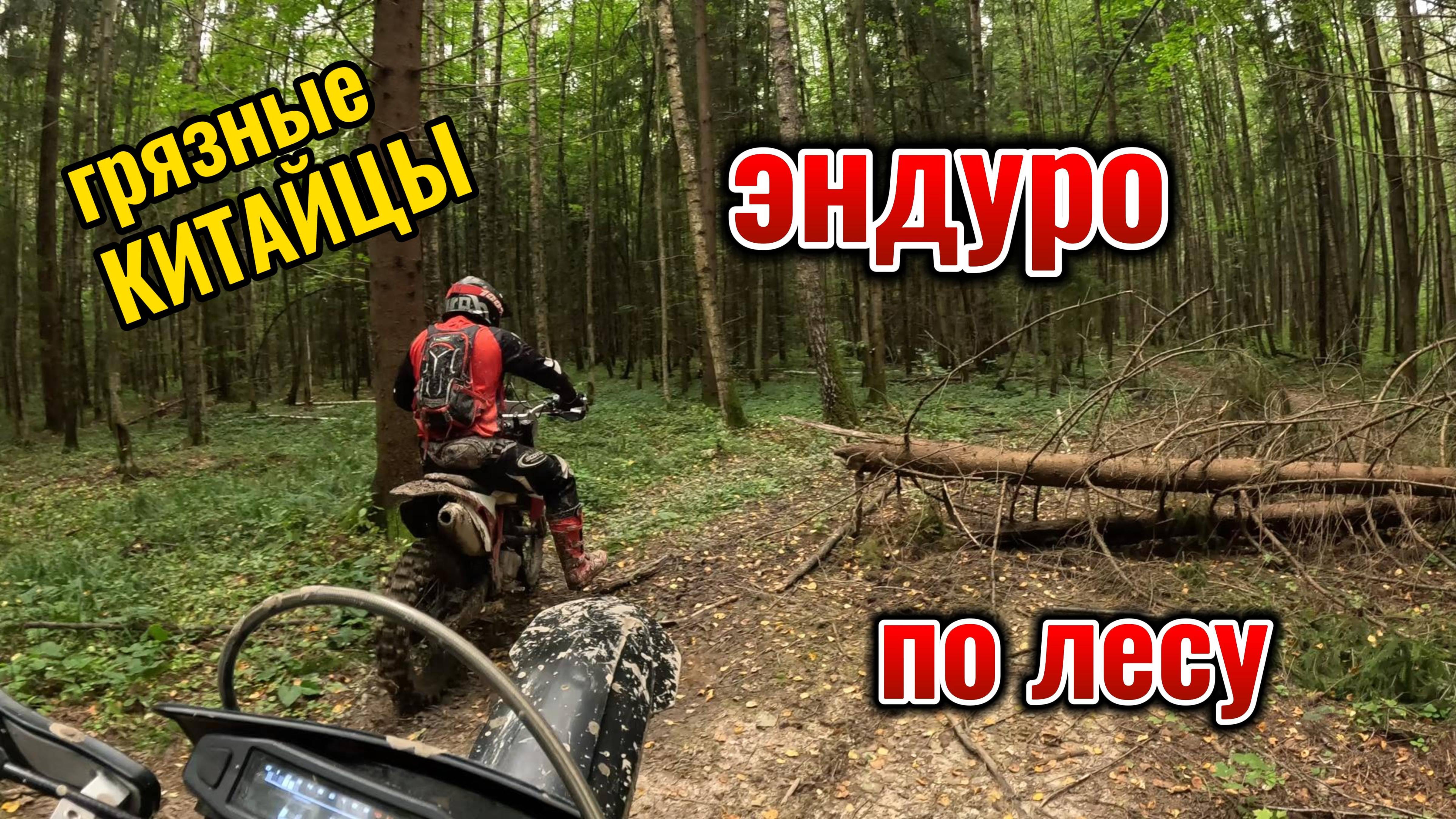 Грязные КИТАЙЦЫ| ЭНДУРО по лесу смотреть онлайн