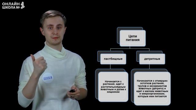 Цепи питания. Видеоурок 38. Биология 7 класс смотреть онлайн