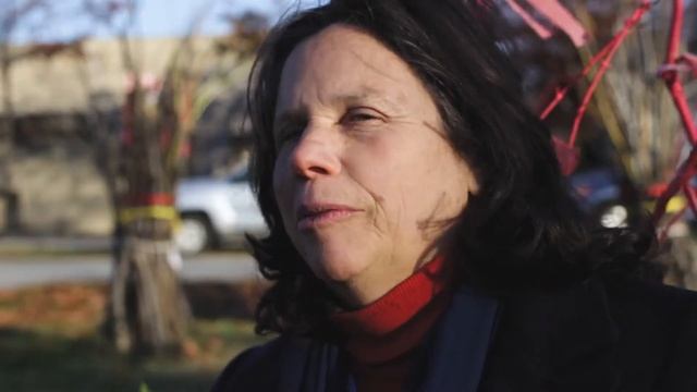 T H E P L O T // A short documentary on a community garden смотреть онлайн