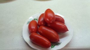 ЛУЧШИЕ ЗАСОЛОЧНЫЕ СОРТА! ТОМАТ ДАМСКИЙ ПАЛЬЧИК  - ОДИН ИЗ НИХ.Ольга Чернова