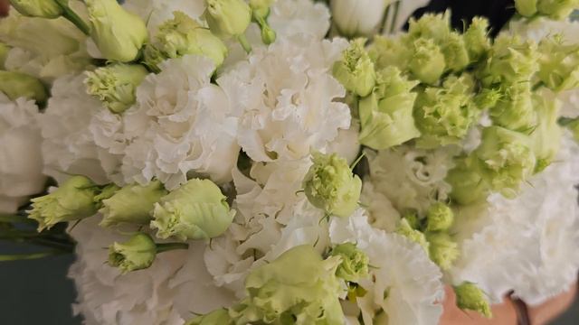 EUSTOMA RUSSELLIANUM G ALISSA PURE WHITE - Florea.cz смотреть онлайн