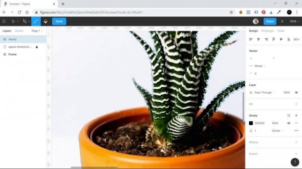 #6 Как вырезать картинки в Figma / How to remove the background in Figma