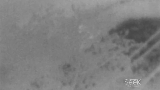Seek Thermal XR Вид с балкона 2 смотреть онлайн