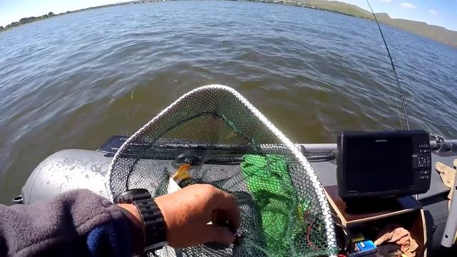 КЛЁВ КРУПНОГО ОКУНЯ ПОСЛЕ НЕРЕСТА! Ловля на Тейл спинеры HURRICANE и ДЖИГ смотреть онлайн