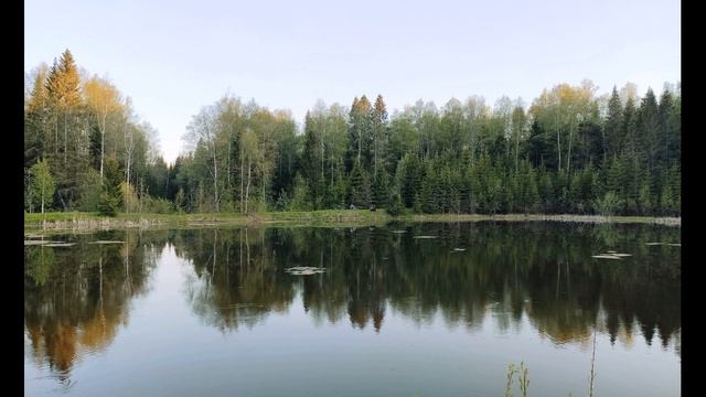 В Брюсов Благовещение #духовнаялирика #поэтысеребряноговека смотреть онлайн