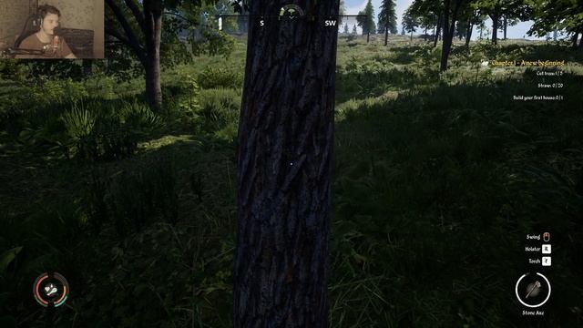 РЕАЛЬНАЯ ЖИЗНЬ В СРЕДНЕВЕКОВЬЕ. НОВАЯ ИГРА ПРО ВЫЖИВАНИЕ | Medieval Dynasty (Первый взгляд, Обзор) смотреть онлайн