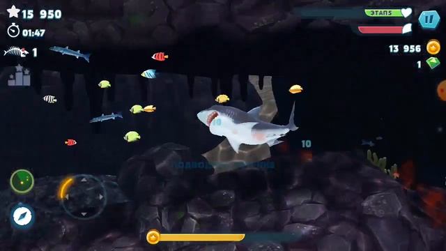 HUNGRY SHARK ЧТО Я ДЕЛАЮ С БЕЛОЙ АКУЛОЙ!? ІГРА ПРО АКУЛ смотреть онлайн