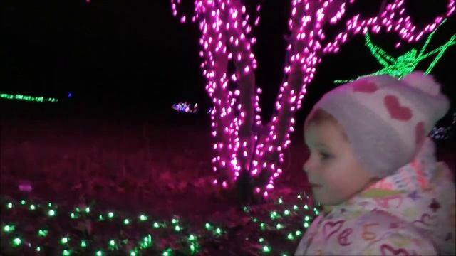 750 Тысяч Огней! Настоящая Сказка Гуляем по Парку Christmas Lights Новогодние Огни смотреть онлайн