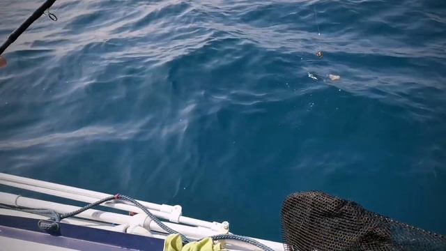 Utopia kayak - Rib Adventure fishing смотреть онлайн