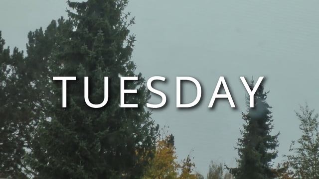 Game Dev: 3 Weeks to Finish! (Devlog) смотреть онлайн