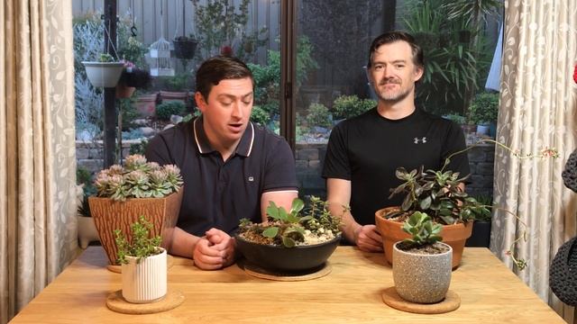 Foster & Grow - Echeveria Mauna Loa смотреть онлайн