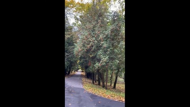 Воздвиженское парк-отель. Самый честный обзор. Все включено по русски! смотреть онлайн