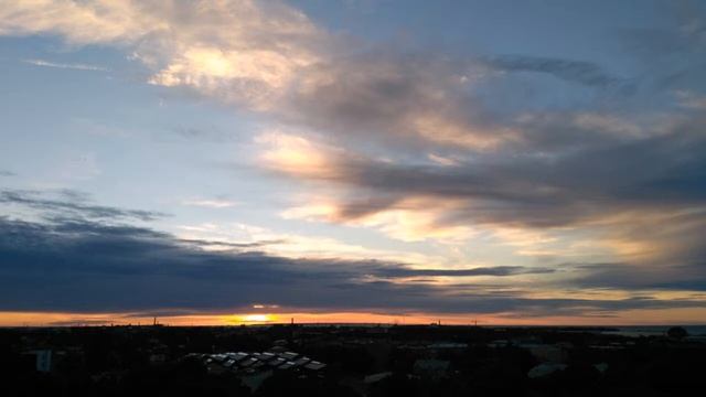 Я не дарил тебе цветов смотреть онлайн