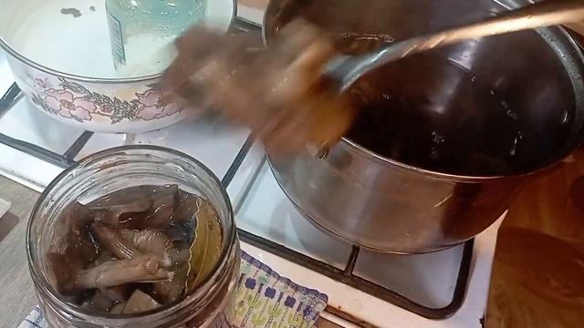 Опята маринованные и залитые рассолом в котором варились.. смотреть онлайн