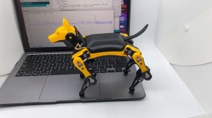 Program/Make Robot Dog Bittle listen to you - open source programmable quadruped robotics kit