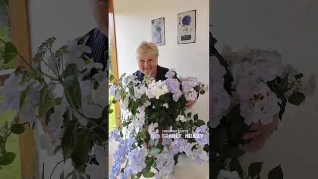 💞В мир КРАСОТЫ с НАМИ по пути 💞Лучший АССОРТИМЕНТ крупнолистной ГОРТЕНЗИИ . смотреть онлайн