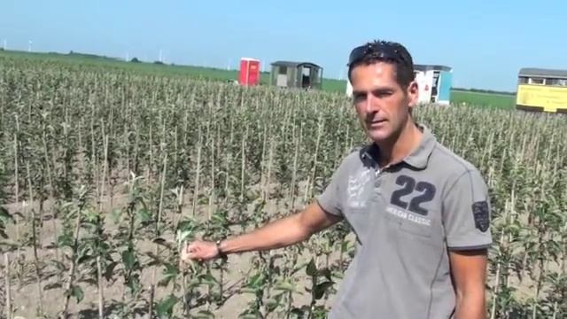 Boomkwekerij "t Fort - Zeewolde смотреть онлайн