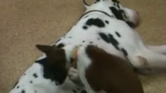 Нашла отличное местечко смотреть онлайн