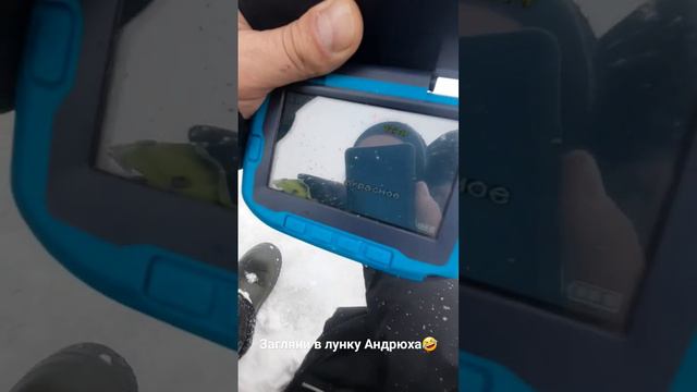 Лайк если любишь зиму.💖 Если не любишь - дизлайк 🥶 смотреть онлайн