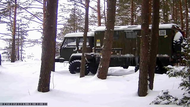 Фотоловушка. Странные обитатели леса. смотреть онлайн