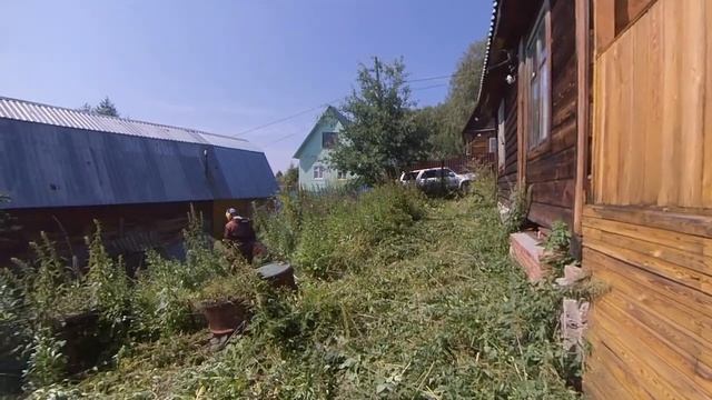 Наводим порядок на заросших дачных, коттеджных участках. Покос, сбор травы. Новосибирск. смотреть онлайн