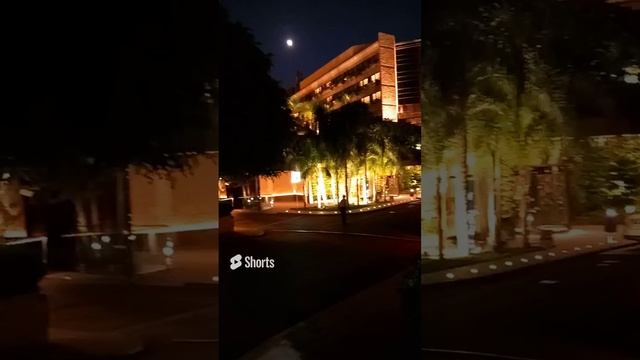 Кипр, Лимасол, ночь, отель, пальмы, машины, автомобили