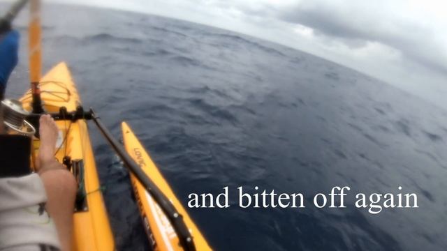 Marlin, Mackerel, Mayhem & Maverick Ep 3 Stretched