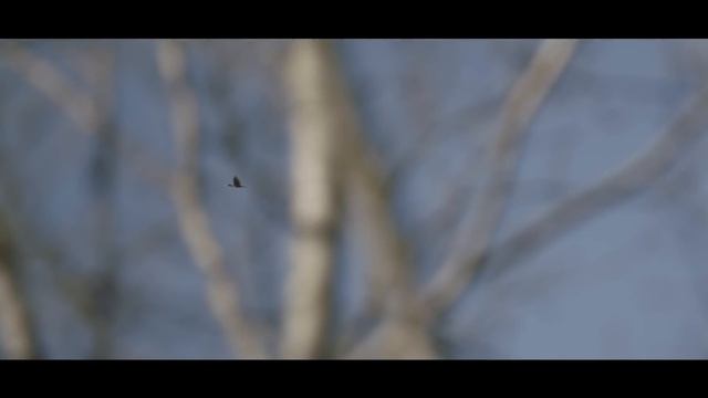 RED EPIC-W 8K Helium S35 vs RED EPIC DRAGON 6k Comparison and Testshots смотреть онлайн