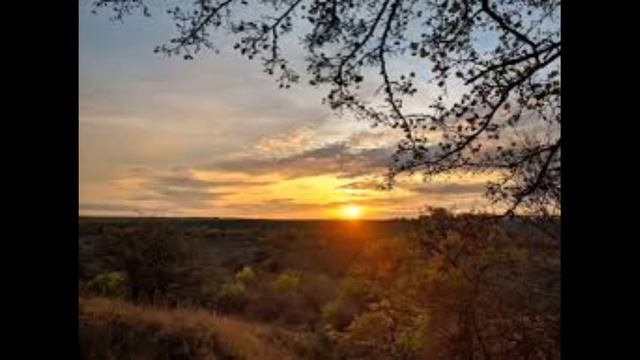 СПІВЕЦЬ. ЛЕСЯ УКРАЇНКА. смотреть онлайн