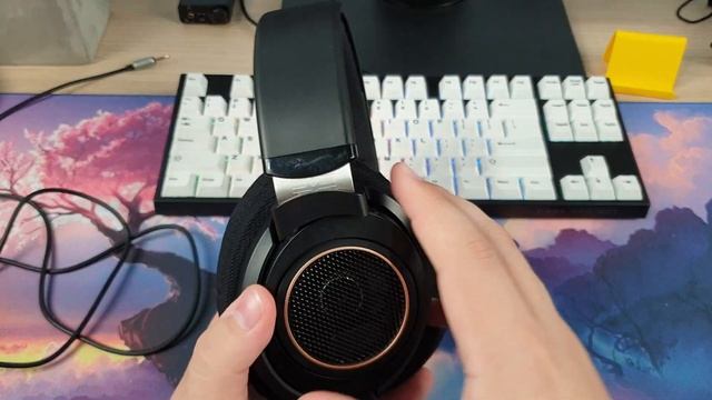 PHILIPS SHP9600. Субъективный обзор.