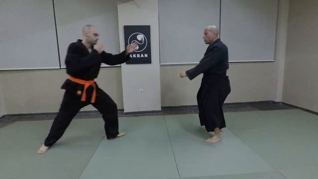 SetsuYo and Henka- Shinden Fudo Ryu смотреть онлайн