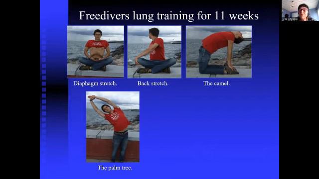 WHAT Talk #08 - June 2022. Erika Schagatay on Man's Place Among the Diving Mammals. смотреть онлайн