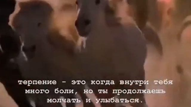 сабр ключ от рая 🥰☝️ Аллах любить терпеливый 😊🙏 смотреть онлайн