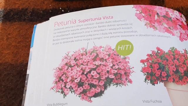 Купила еврочеренки цветов и мяты. Петуния для балкона. смотреть онлайн