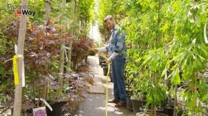 Спрей Лента Туман: Где применяется система полива? Виды ,Особенности и Преимущества Ленты Туман?