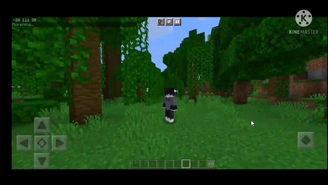 Morph Addon for Minecraft PE 1.18 | Minecraft Morph Plus V4 смотреть онлайн