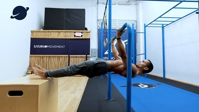 FULL BODY CALISTHENICS WORKOUT For BEGINNERS 2020 (Follow Along)
