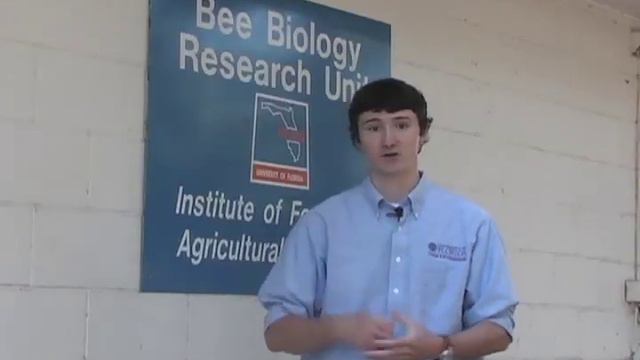 European and American Foulbrood in Honey Bee Colonies: Part 2 смотреть онлайн