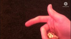 Первый чемпионат по кручению четок(Как правильно крутить четки#1.