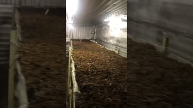 Рыхление компоста и выравнивание поверхности! смотреть онлайн