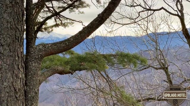 Каменномостский Адыгея Благодать декабрь 2019 смотреть онлайн