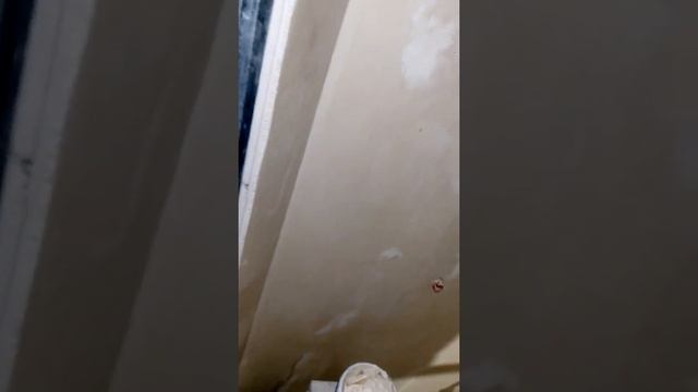 Венецианская штукатурка в три цвета смотреть онлайн