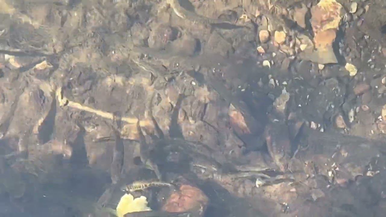 Три минуты релакса. смотреть онлайн