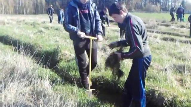 Выбор будущего смотреть онлайн