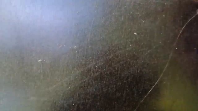 воздушная луковица (бульбочка) чеснока. сажать или нет? смотреть онлайн