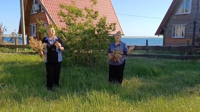 Вита Антропова и Рита Белякова - Смуглянка смотреть онлайн