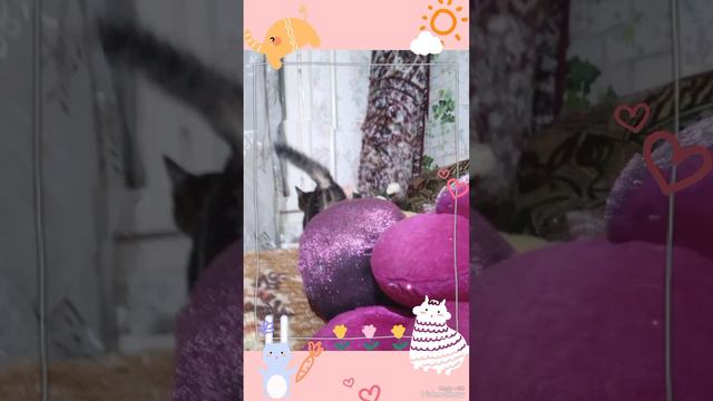 Самое любимое видео или веселый хвостик Льва! смотреть онлайн