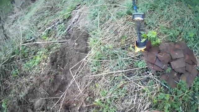 ВЫШЕЛ В ПОЛЕ С GARRETT   .НАШЕЛ ГРИБЫ,А ВЫ ТАКИЕ СОБИРАЕТЕ???